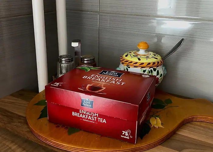 Kawalerka Z Prywatna Lazienka I Kuchnia Apartman Gdańsk